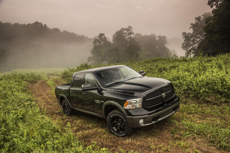  Dodge Ram 1500 OutDoorsman Crew Cab 2013 года  (фото 3 из 4)